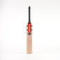 Gray Nicolls Shockwave 2.0 5 Star Cricket Bat (2024)