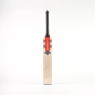 Gray Nicolls Shockwave 2.0 200 Cricket Bat (2024)