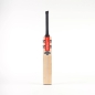 Gray Nicolls Shockwave 2.0 300 Junior Cricket Bat (2024)