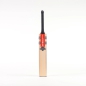 Gray Nicolls Shockwave 2.0 Power Junior Cricket Bat (2024)