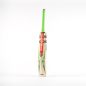 Gray Nicolls Shockwave 2.3 5 Star Cricket Bat (2024)