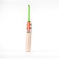 Gray Nicolls Shockwave 2.3 5 Star Cricket Bat (2024)