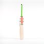 Gray Nicolls Shockwave 2.3 5 Star Cricket Bat (2024)