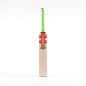 Gray Nicolls Shockwave 2.3 5 Star Cricket Bat (2024)