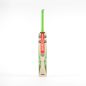 Gray Nicolls Shockwave 2.3 5 Star Cricket Bat (2024)