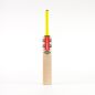 Gray Nicolls Tempesta 1.0 4 Star Cricket Bat (2024)