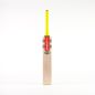 Gray Nicolls Tempesta 1.0 200 Junior Cricket Bat (2024)