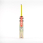 Gray Nicolls Tempesta 1.0 Cameo Junior Cricket Bat (2024)