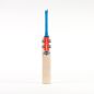 Gray Nicolls Tempesta 1.1 300 Junior Cricket Bat (2024)