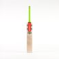 Gray Nicolls Tempesta 1.3 200 Cricket Bat (2024)