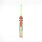 Gray Nicolls Tempesta 1.3 200 Cricket Bat (2024)