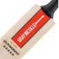 Bâton de cricket Nicolls Powerspot MB 300 gris (2024)