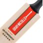 Gray Nicolls Powerspot MB 300 Cricket Bat (2024)