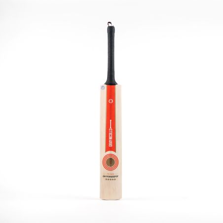 Murciélago de cricket Nicolls Powerspot MB 300 gris (2024) -