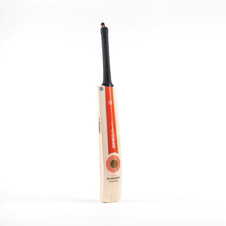 Murciélago de cricket Nicolls Powerspot MB 300 gris (2024) -