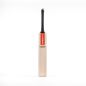 Gray Nicolls Powerspot MB 300 Cricket Bat (2024)