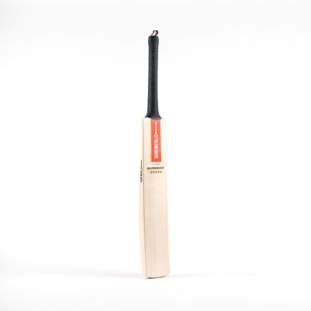 Murciélago de cricket Nicolls Powerspot MB 300 gris (2024) -