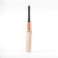 Gray Nicolls Powerspot MB 300 Cricket Bat (2024)