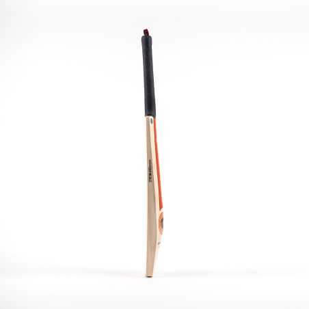 Murciélago de cricket Nicolls Powerspot MB 300 gris (2024) -