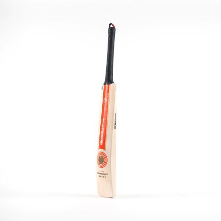 Murciélago de cricket Nicolls Powerspot MB 300 gris (2024) -