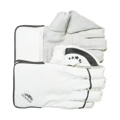 Newbery 5 Star Wicket Keeping Gloves (2024)