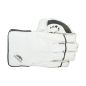 Newbery 5 Star Wicket Keeping Handschuhe (2024)