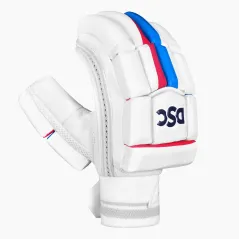 DSC Intense 4000 Cricket Gloves (2024)