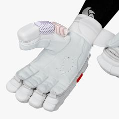 DSC Krunch 1000 Cricket Gloves (2024)