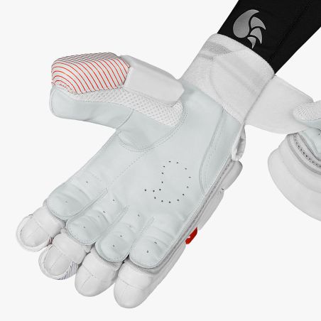 DSC Krunch 7000 Cricket Gloves (2024)