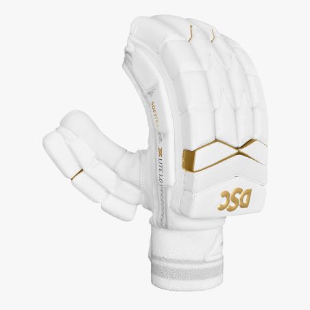 DSC Xlite 1.0 Cricket Gloves (2024)