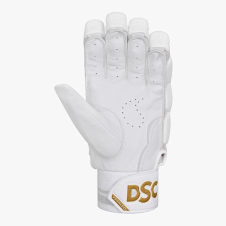 DSC Xlite 1.0 Cricket Gloves (2025)