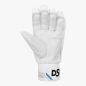 DSC Xlite 2.0 Cricket Gloves (2024)