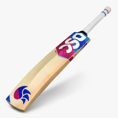 DSC Intense 4000 Cricket Bat (2024)