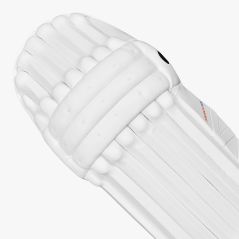 DSC Krunch 3000 Cricket Pads (2024)