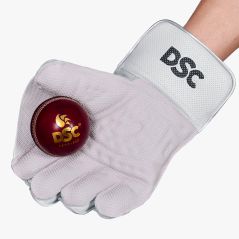 DSC Xlite Limited Edition Wicket Keeping Gloves (2025)