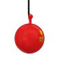 DSC Synthetic Hanging Ball (2024)