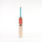 Gray Nicolls GEM 2.0 Academy Junior Cricket Bat (2024)