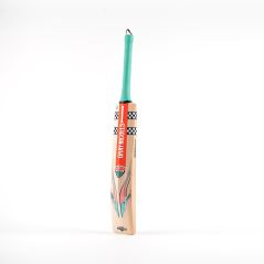 Bâton de cricket gris Nicolls GEM 2.0 5 Star Lite (2024)