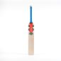 Gray Nicolls Shockwave 2.2 5 Star Lite T10 Cricket Bat (2024)