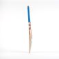 Gray Nicolls Shockwave 2.2 5 Star Lite T10 Cricket Bat (2024)