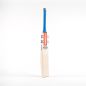 Gray Nicolls Shockwave 2.2 5 Star Lite T10 Cricket Bat (2024)