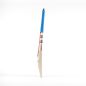 Gray Nicolls Shockwave 2.2 5 Star Lite T10 Cricket Bat (2024)