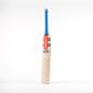 Gray Nicolls Shockwave 2.2 5 Star Lite T10 Cricket Bat (2024)