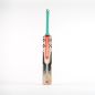 Gray Nicolls Supra 1.2 5 Star T10 Cricket Bat (2024)