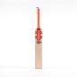 Gray Nicolls Tempesta 1.2 300 T10 Cricket Bat (2024)