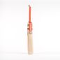 Gray Nicolls Tempesta 1.2 300 T10 Cricket Bat (2024)