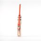 Gray Nicolls Tempesta 1.2 300 T10 Cricket Bat (2024)