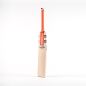 Gray Nicolls Tempesta 1.2 300 T10 Cricket Bat (2024)