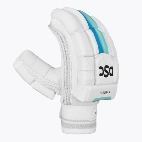 DSC Cynos 22 Cricket Gloves (2024)