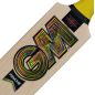 GM Psyche Limited Edition Cricket Bat (2025)